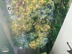 -恐龙探索乐园(磁器口店)