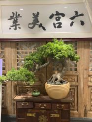 -六宫Spa女子养护中心
