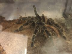 -三旗百汇商品城