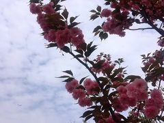 -府河摄影公园