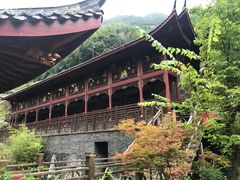 -长谷洞天