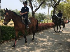 -上海长兴岛郊野公园