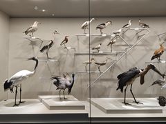 -中国湿地博物馆