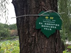 -孝子祠公园