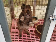 -上海崇明金茂凯悦酒店