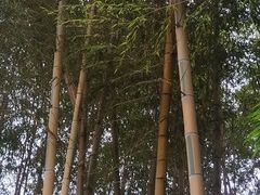 -黄公望隐居地
