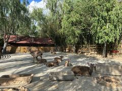 -竹泉村旅游度假区