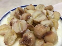 莲子姜撞奶-世代同糖(华盖里直街店)