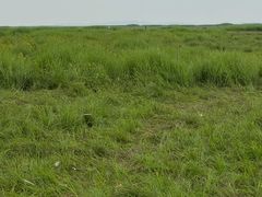 -鄱阳湖国家湿地公园