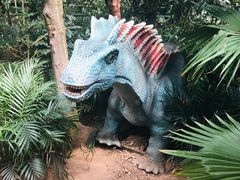 -呀路古热带植物园