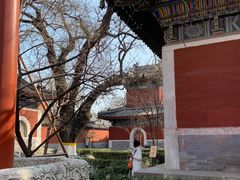 -北京艺术博物馆(万寿寺)