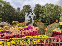 -上海共青森林公园