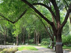-玲珑塔公园