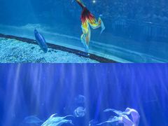 -华夏文旅西安度假区