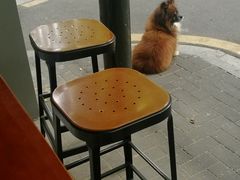 -Joymean coffee.见面咖啡