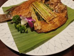 香茅草烤罗非鱼-紫滇源云南生态菜(丹凤街店)