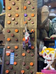 -卡通尼·Safari非洲探索乐园·生日会(金桥国际商业广场店)