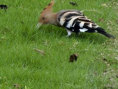 -昆山城市生态森林公园