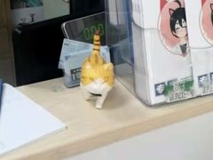 -申普宠物医院·眼科·心内科·影像科(普陀分院)