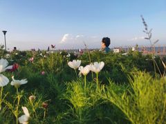 -东疆建设开发纪念公园