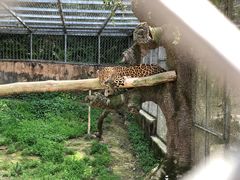 -宁波野生动物园