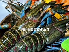 -阆辣荟餐饮(老味道8年·古城店)