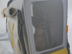 -中农国际动物医院24小时·猫科·骨科·急重症中心