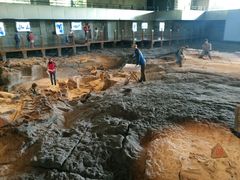 -自贡恐龙博物馆