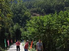 -象头山国家级自然保护区