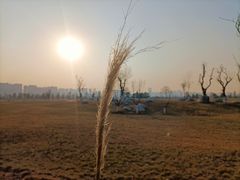 -汉长安城未央宫国家考古遗址公园