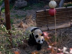 -红山森林动物园