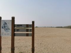 -东郊湿地公园