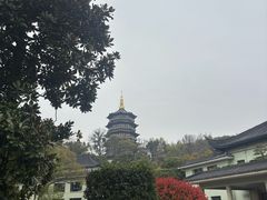 -浙江西子宾馆·牡丹厅