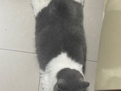 -北国奥特莱斯