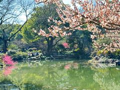 -杭州植物园