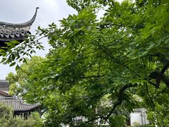 -绍兴饭店知遇楼(环山路店)