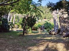 -深圳仙湖植物园