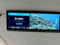 -郑州东站