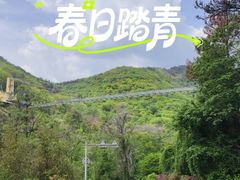 -木兰云雾山