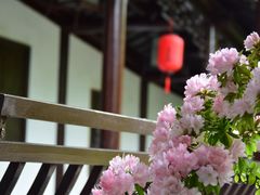 -上海方塔园