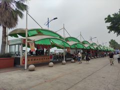 -南沙十九涌渔人码头-南门