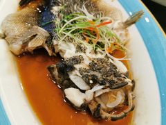 -高老庄新家宴(北斗星广场店)