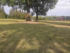 -滨江森林公园-真人CS野战场