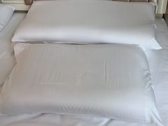 -上海白金汉爵大酒店(大零号湾国际会议中心店)