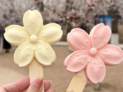 -桃花堤公园