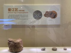 -衢州市博物馆