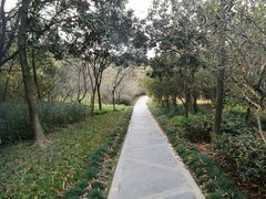 -昆山城市生态森林公园