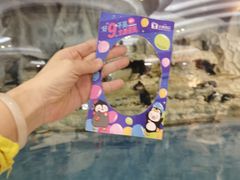 -帝企鹅自助餐厅•儿童岛•真企鹅(长隆企鹅酒店)