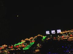 -枇杷园食为鲜火锅(南山店)