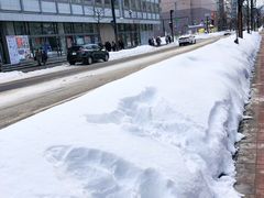 -北海道厅旧本厅舍(旧本庁舎)